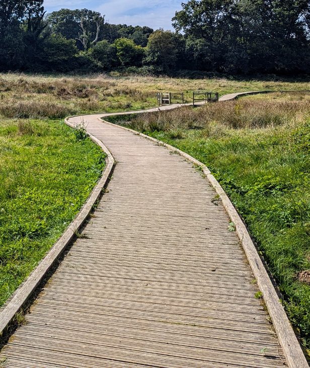 Boardwalk across heathland in Ashdown Forest